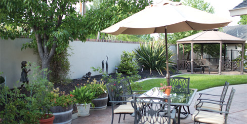 about backyard