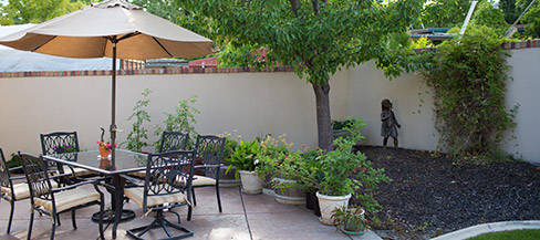 about backyard